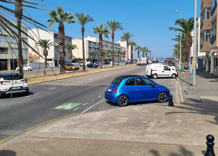 Le Triton Saint-Cyprien (Pyrenees-Orientales)